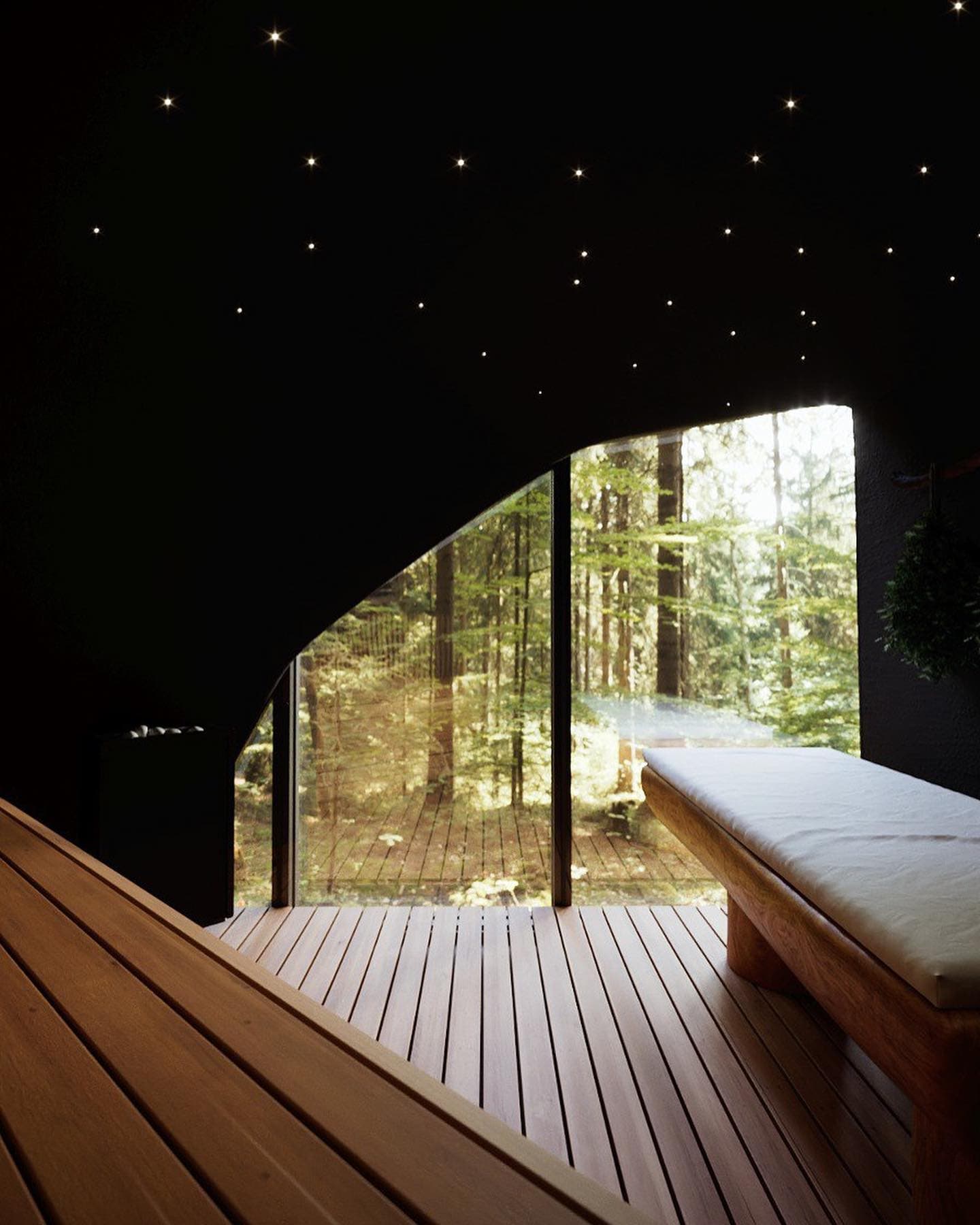 Traditional dome sauna room with full-length benches and forest view
